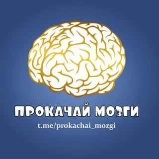 Прокачай мозги