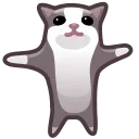 Pets Memes | @Premium_Stikers