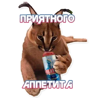 ШлёпаFloppa