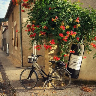 travelclever