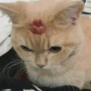 Игривое настроение