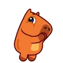 Capyboy
