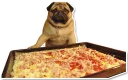 Pizza Pug