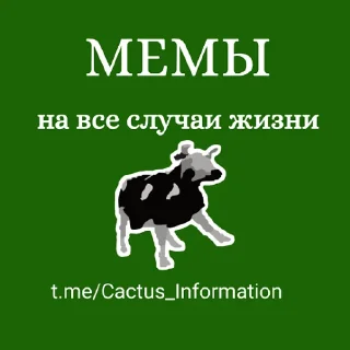 Мемы на все случаи жизни