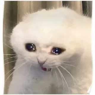 meme faces