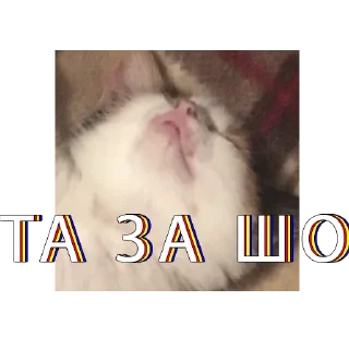 это не мем, это наша жизнь