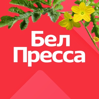 БелПресса | Новости Белгорода и области