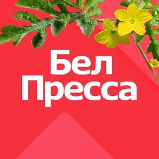 БелПресса | Новости Белгорода и области