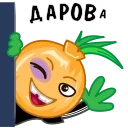 ГопоЛук @TgSticker