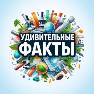 Удивительные факты