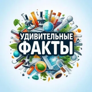 Удивительные факты