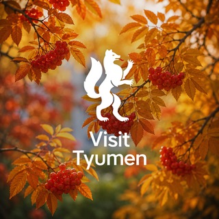 Visit Tyumen | Куда сходить в Тюмени