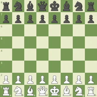 Шахматы | Chess