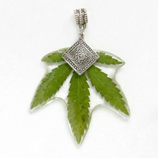 Настя Ботаника | Botanica_style