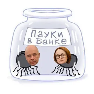 Пауки в банке