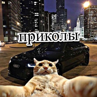 Мемы, кружки, приколы