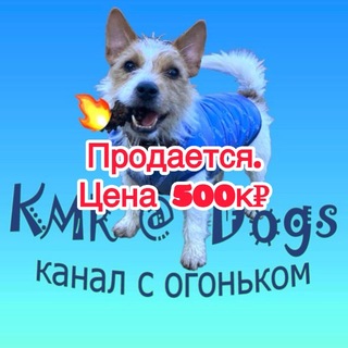 KMR@Dogs